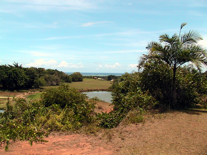 28 - Jardin des eaux 049.jpg